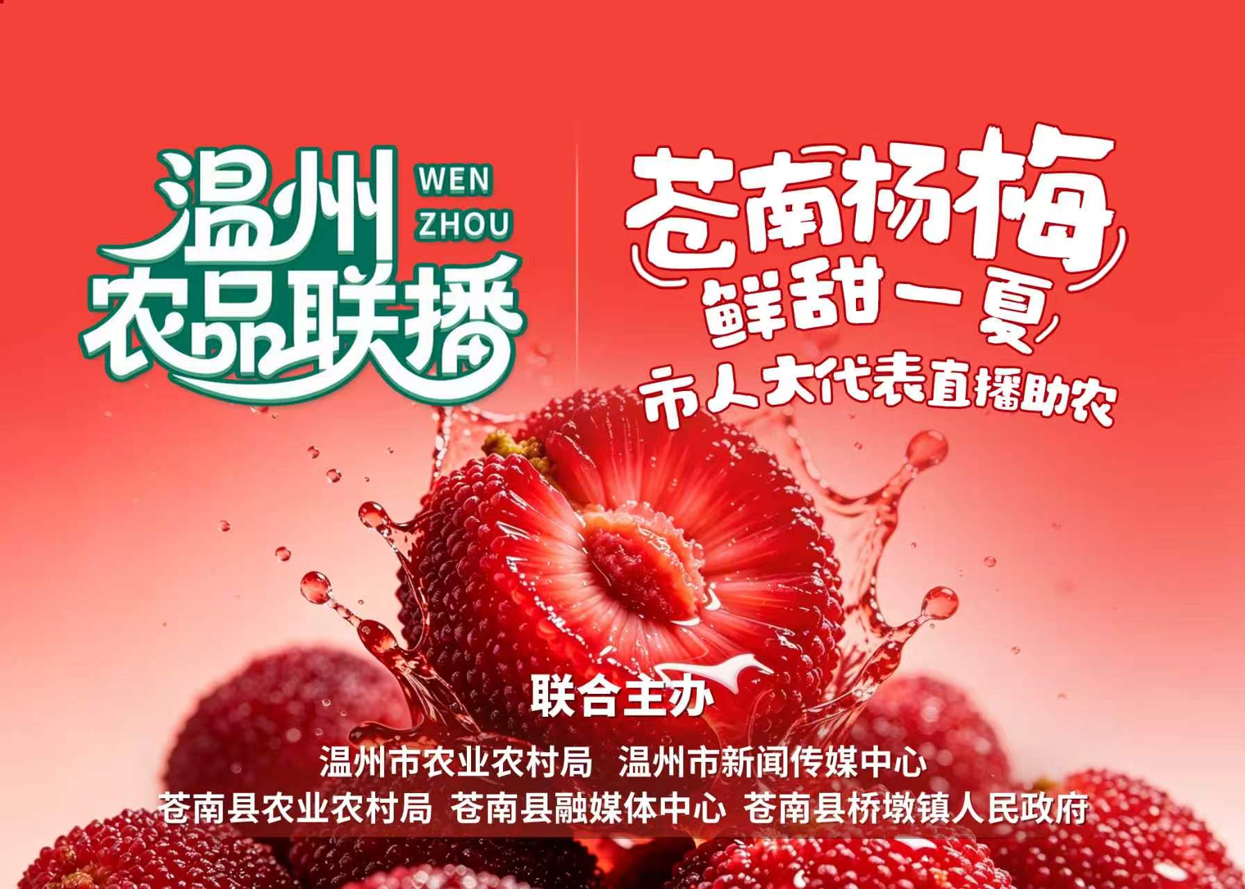 直播预告:6月12日,市人大代表组团揭晓苍南杨梅的鲜甜密码!