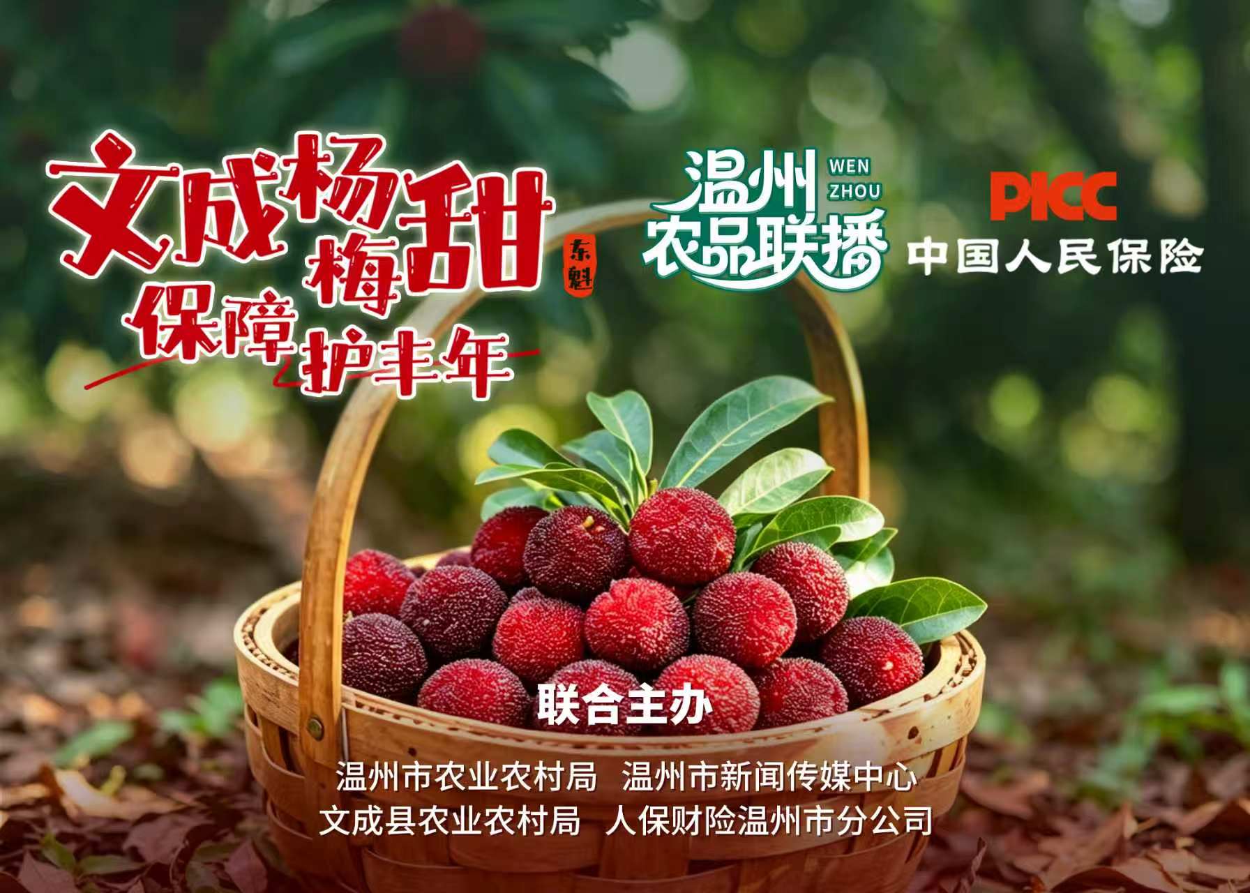 鲜甜好吃 保障护航!6月18日文成杨梅专场美味开播!